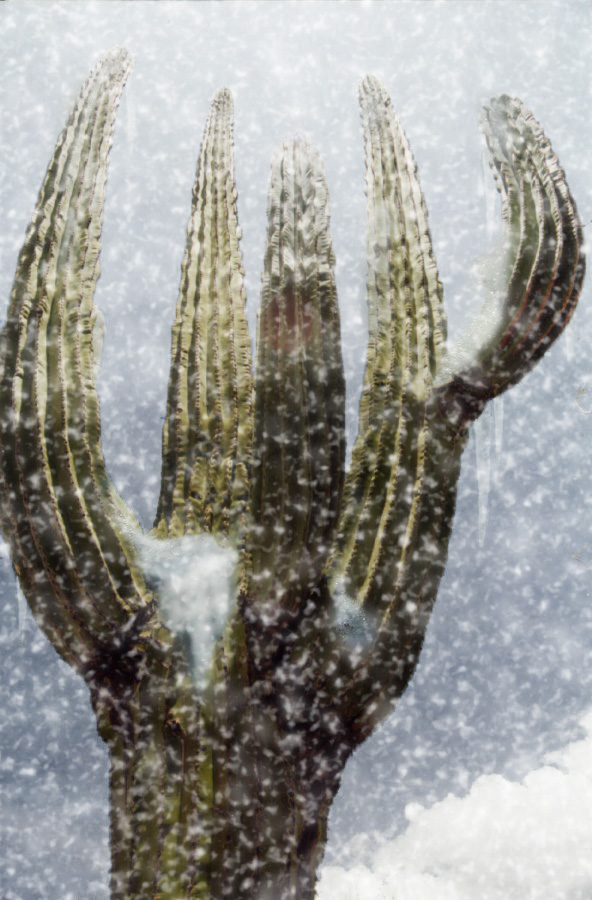 Design Photoshop par m000ch pour DesignCrowd (Community Contests) | Design #9122580