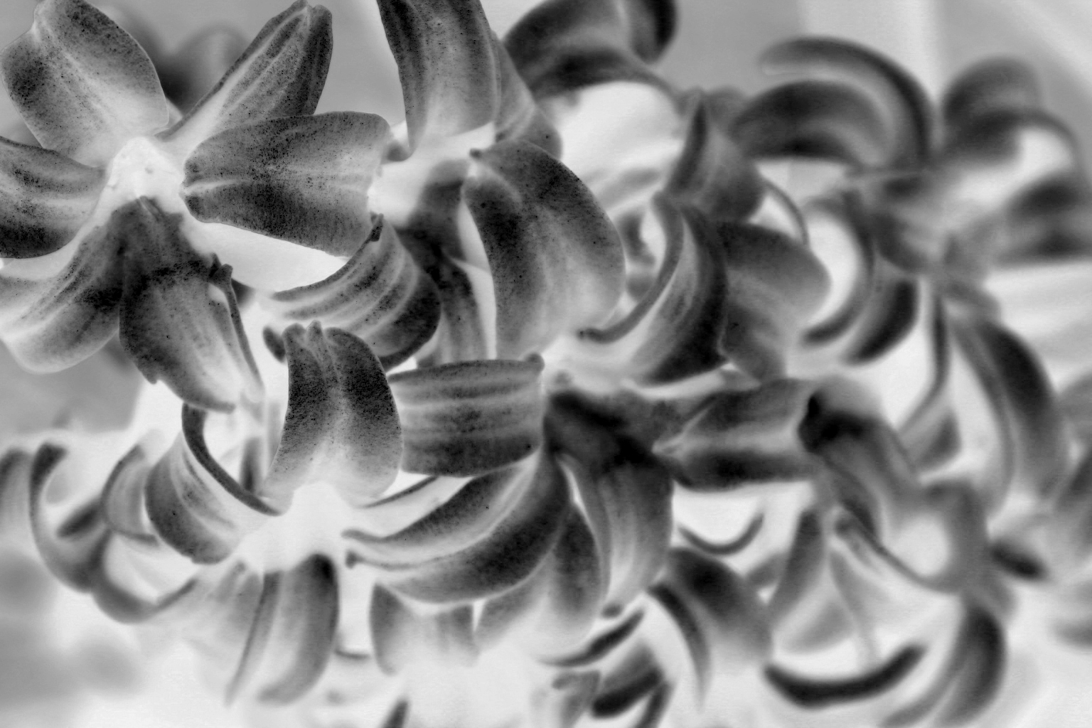 Fotografie von GUYinaTIE für DesignCrowd (Community Contests) | Design #9116405