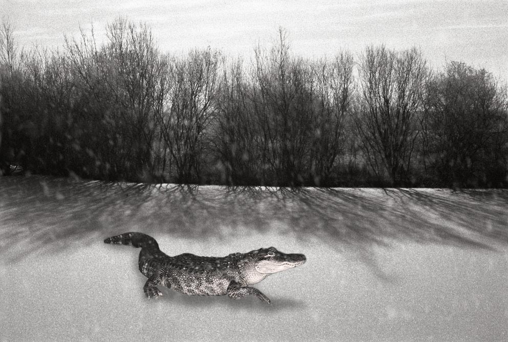 Photoshop Design by Anon00 for DesignCrowd (Community Contests) | Design #9122579