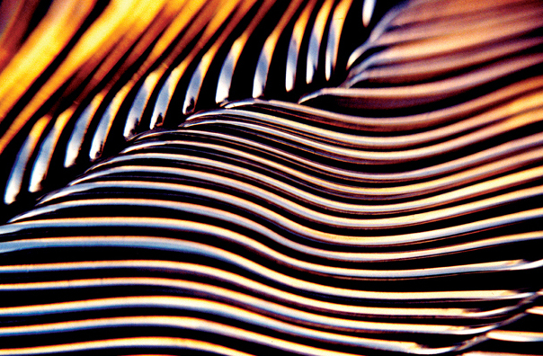 Photography by eslwinshot for DesignCrowd (Community Contests) | Design #9117924