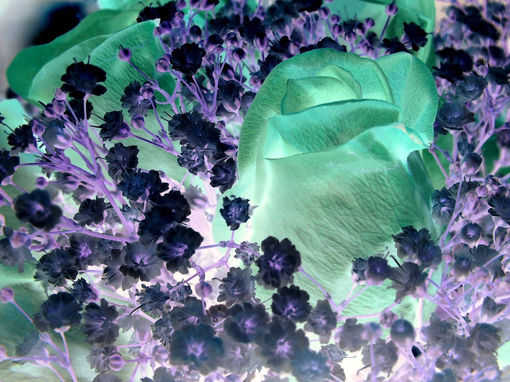 Fotografie von blurmore für DesignCrowd (Community Contests) | Design #9116274