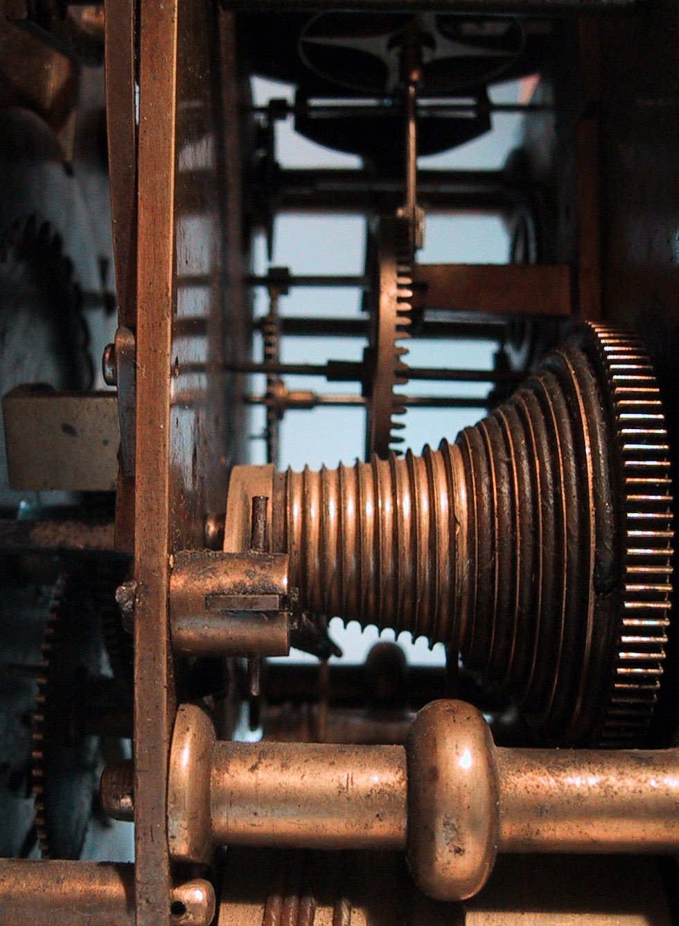 Photography by brunewz for DesignCrowd (Community Contests) | Design #9117916