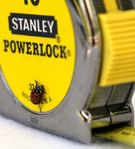 Photography by sns1953 for DesignCrowd (Community Contests) | Design #9117922