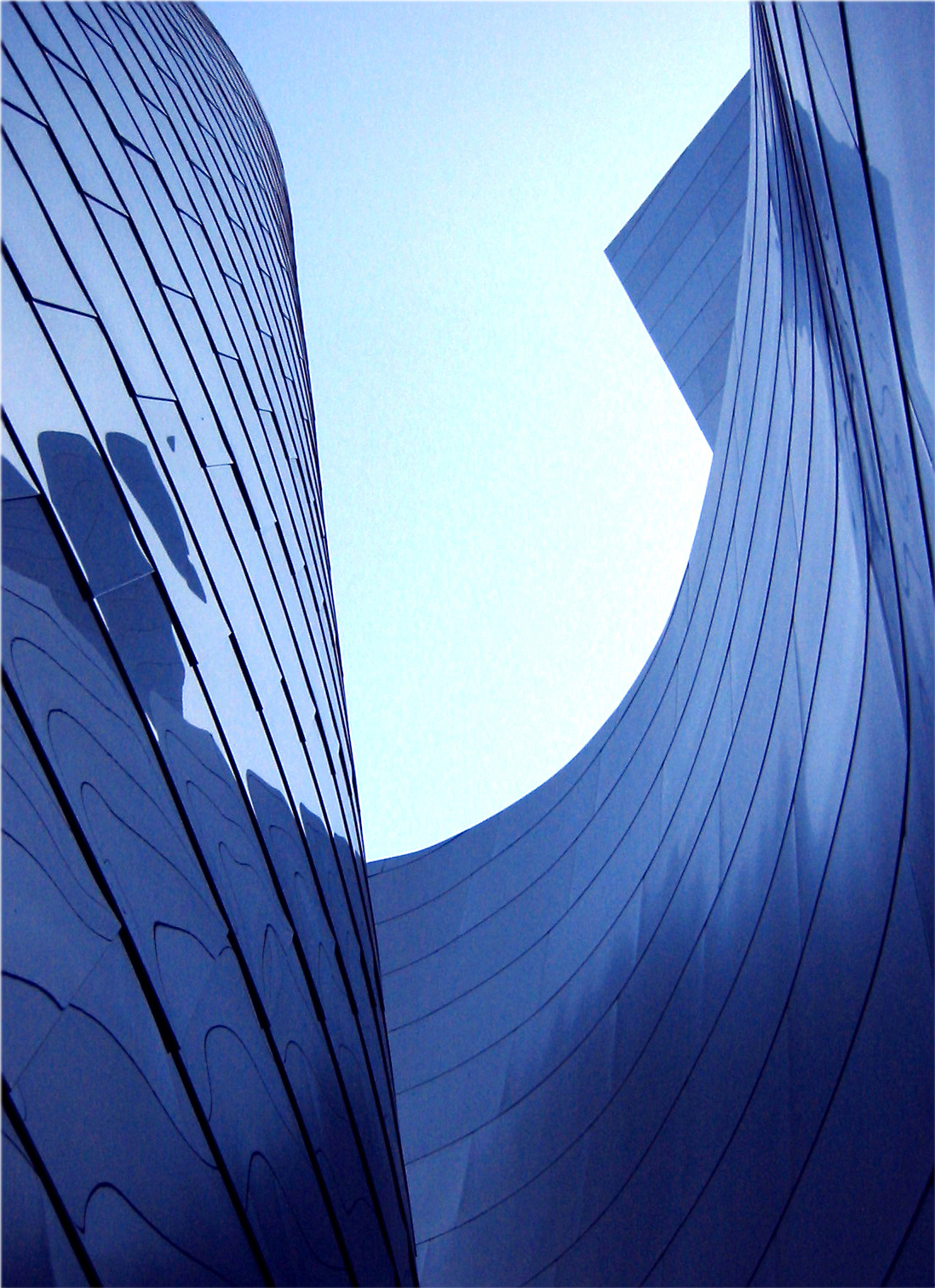 Photography by littlevixxen69 for DesignCrowd (Community Contests) | Design #9101194