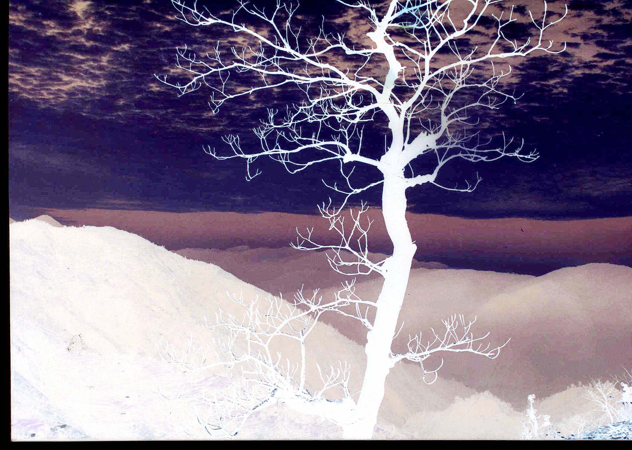 Fotografía por vgmn1956 para DesignCrowd (Community Contests) | Diseño #9116322