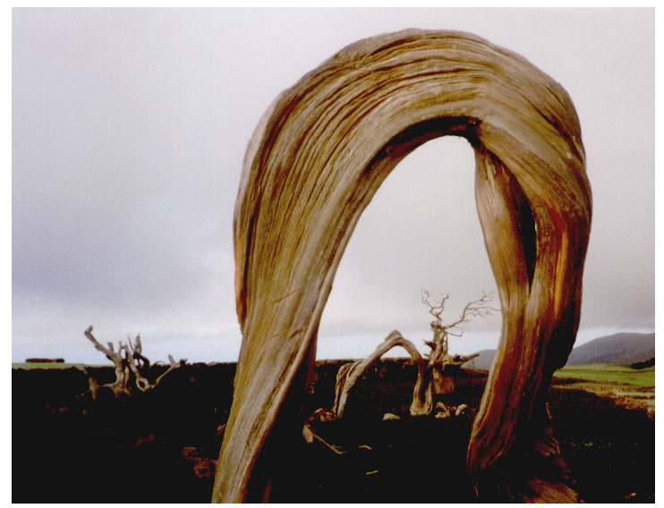 Photography by jesuslatorre for DesignCrowd (Community Contests) | Design #9101239