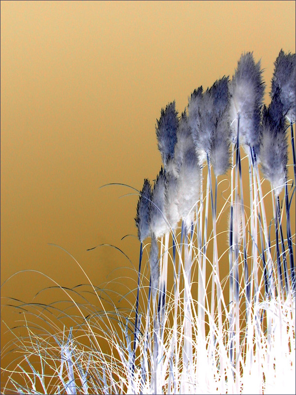 Photography by Redbull_UK for DesignCrowd (Community Contests) | Design #9116249