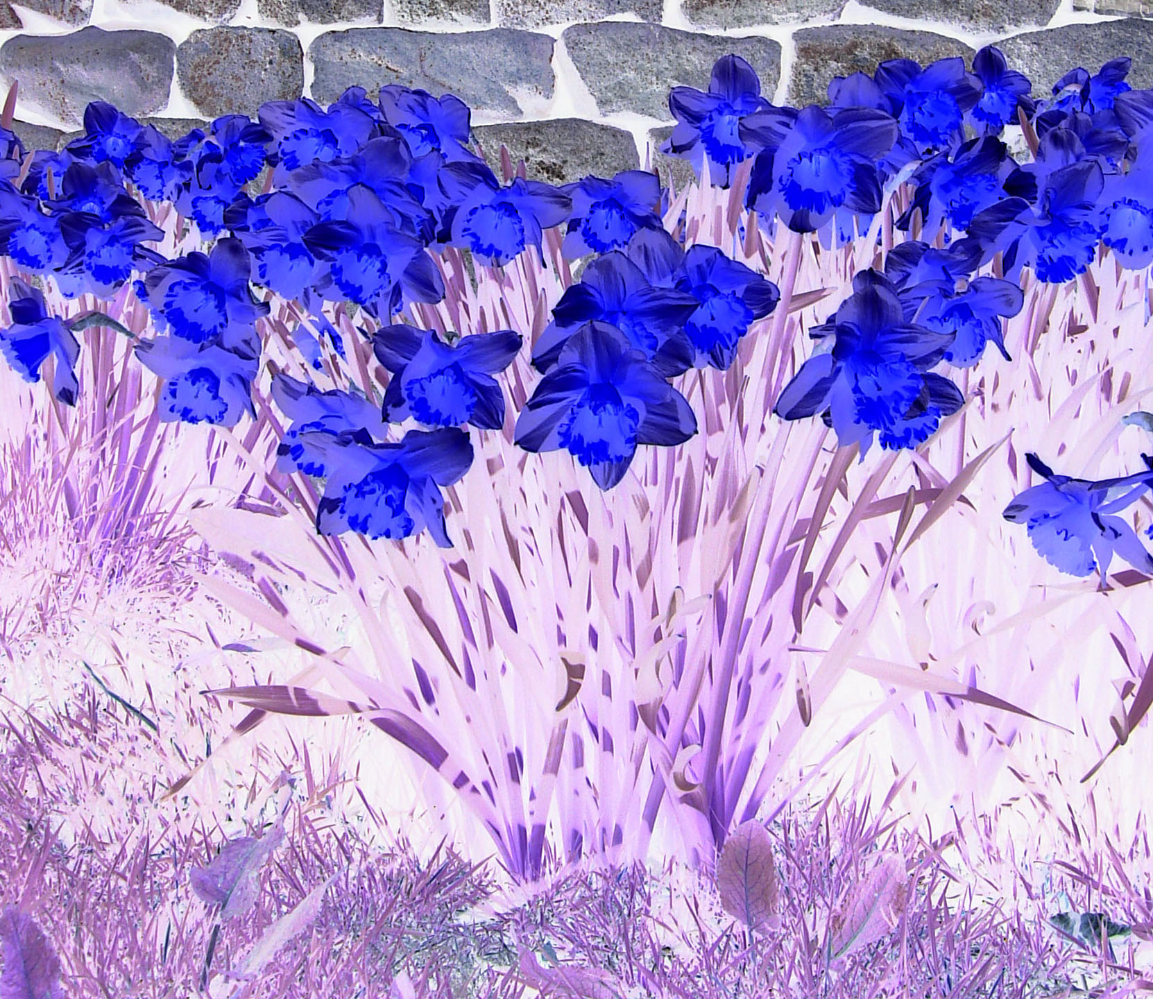 Photographie par treebloke pour DesignCrowd (Community Contests) | Design #9116462