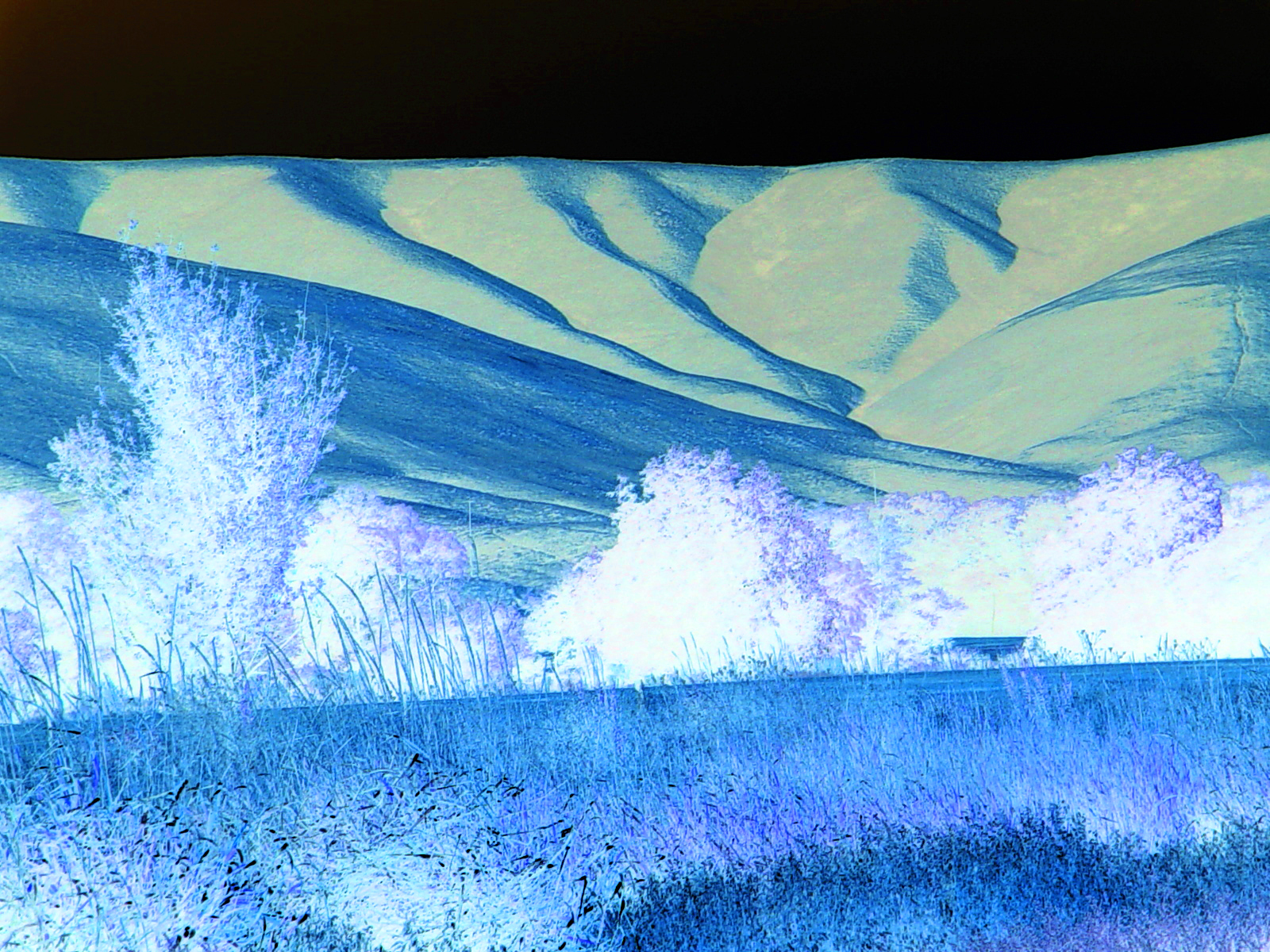 Photography by ottaia for DesignCrowd (Community Contests) | Design #9116565