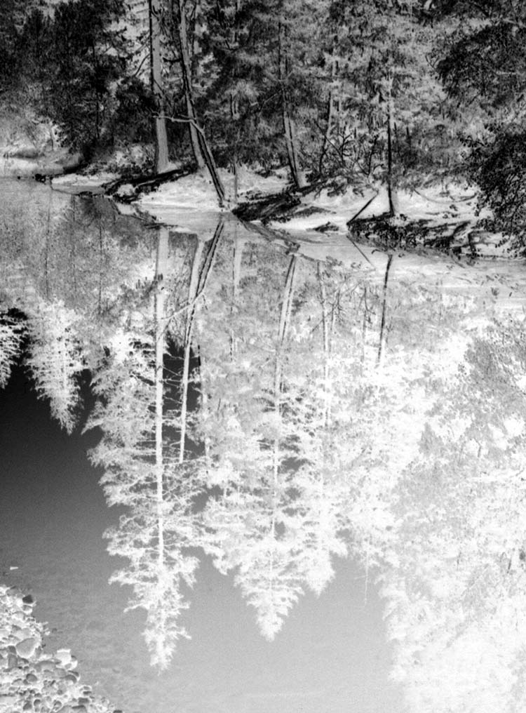 Fotografie von rattiecat für DesignCrowd (Community Contests) | Design #9116607