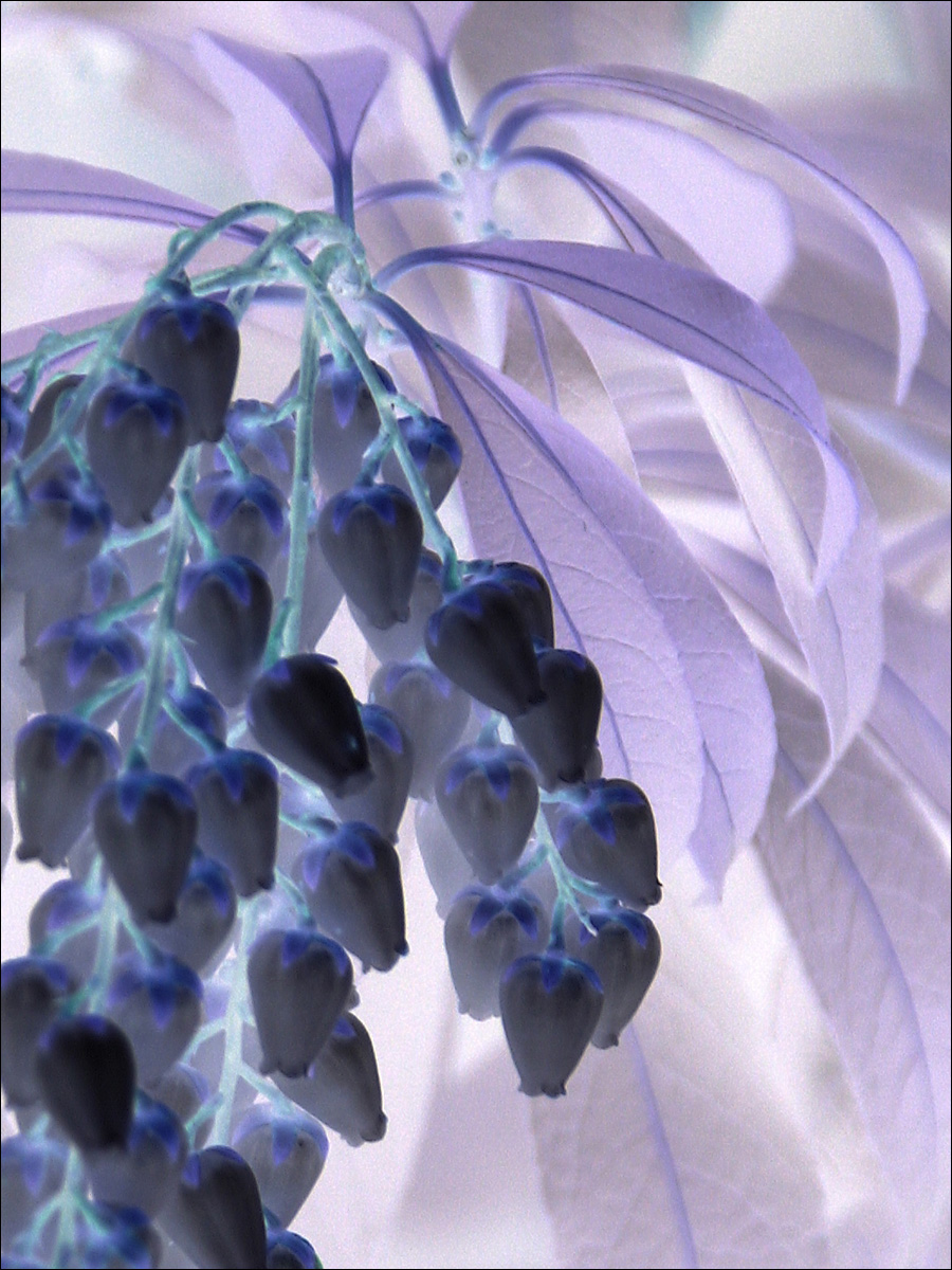 Photography by PeterSealy for DesignCrowd (Community Contests) | Design #9116479