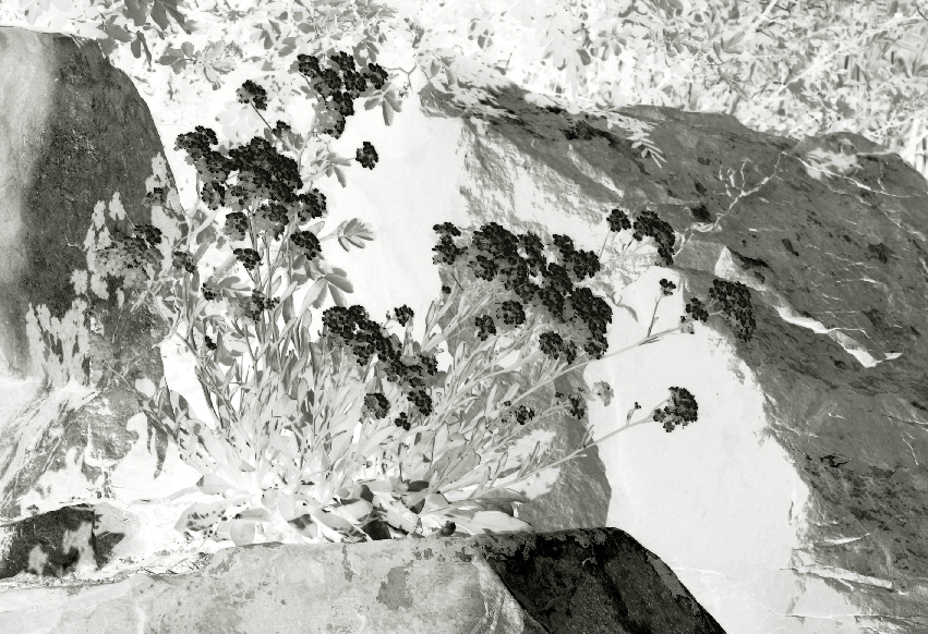 Photography by lothar for DesignCrowd (Community Contests) | Design #9116604