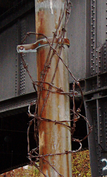 Photographie par c2h3o2 pour DesignCrowd (Community Contests) | Design #9117989