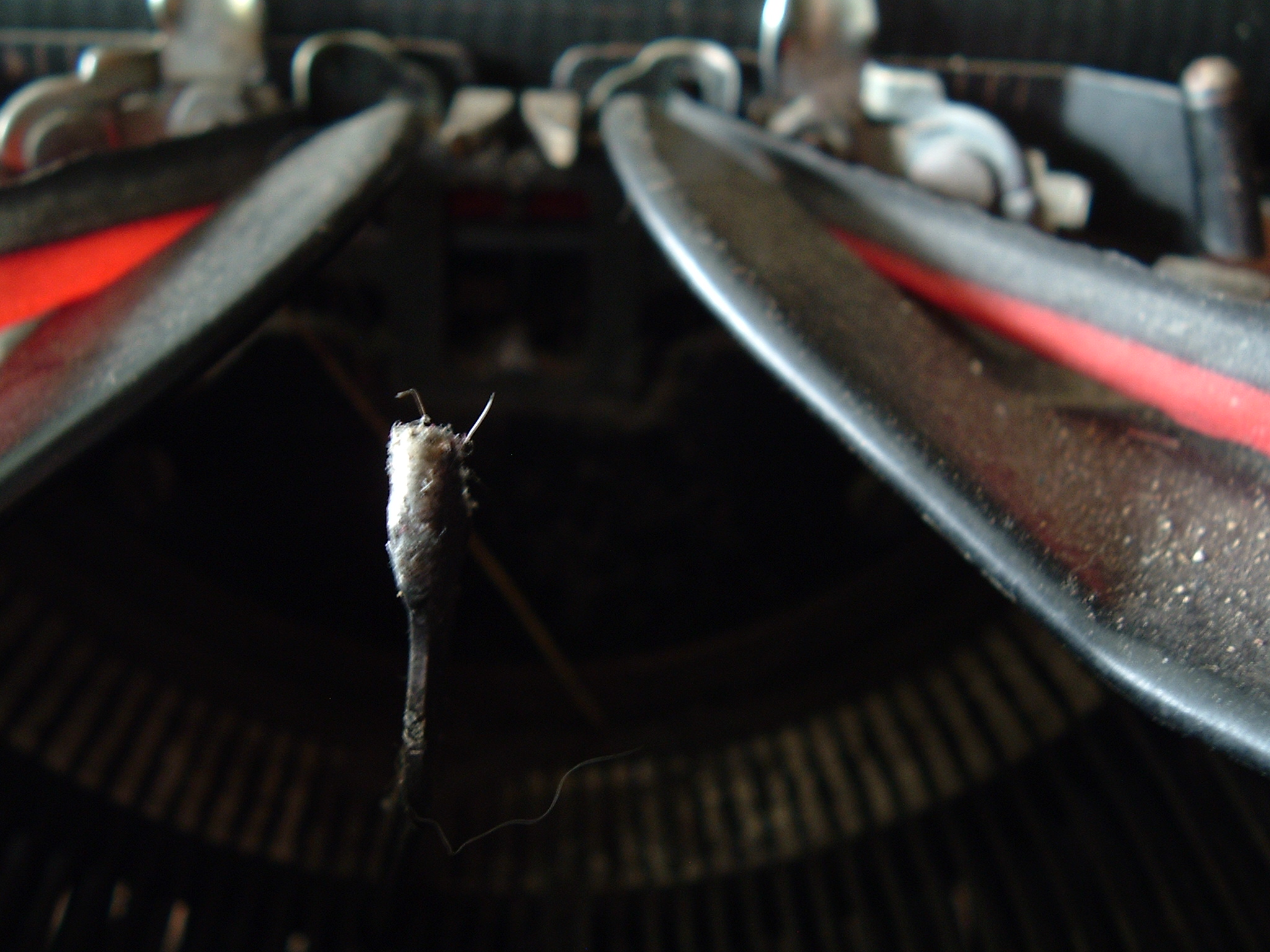 Photography by RickF413 for DesignCrowd (Community Contests) | Design #9118726