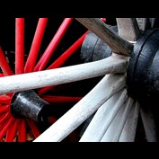 Photography by koalachimbo