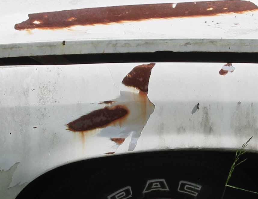 Photography by Caligreal for DesignCrowd (Community Contests) | Design #9118051