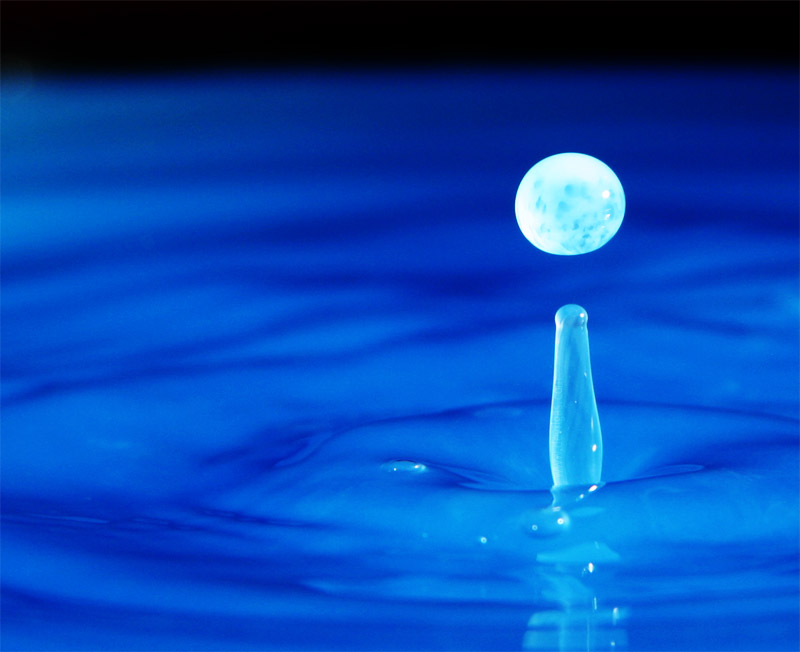 Fotografía por devilgas para DesignCrowd (Community Contests) | Diseño #9103106