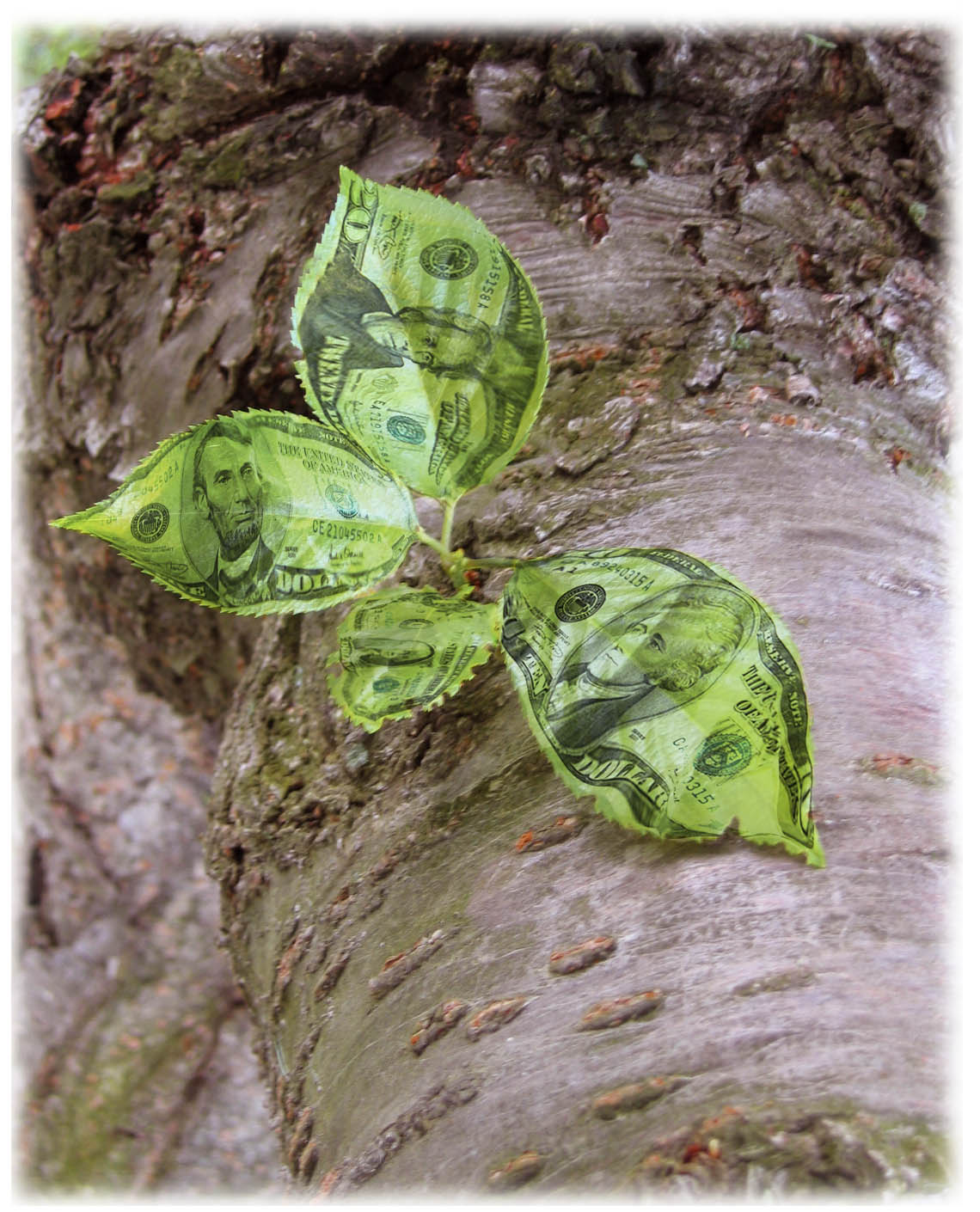 Photoshop Design by Netali for DesignCrowd (Community Contests) | Design #9123294