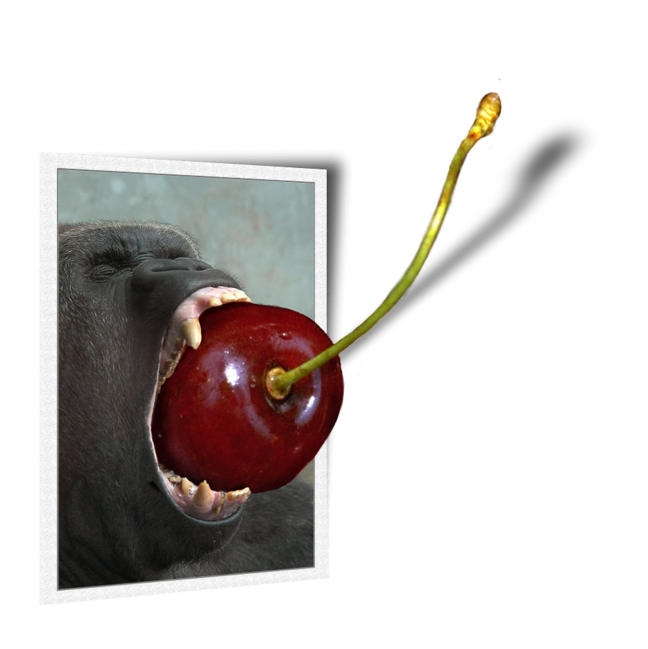 Design Photoshop par carthe pour DesignCrowd (Community Contests) | Design #9122981