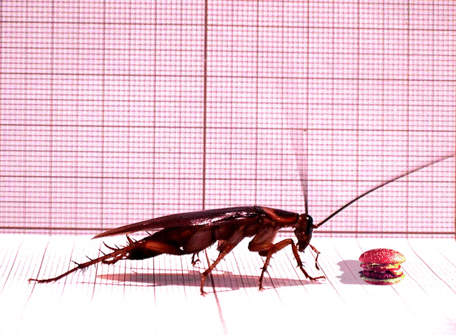 Photoshop Design by DannyHonx for DesignCrowd (Community Contests) | Design #9122995