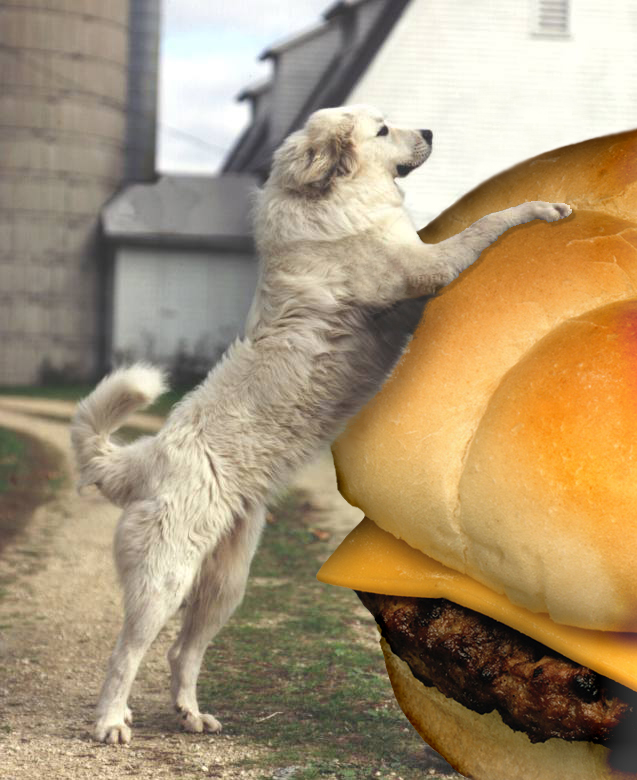 Photoshop-Design von rpereira für DesignCrowd (Community Contests) | Design #9122964