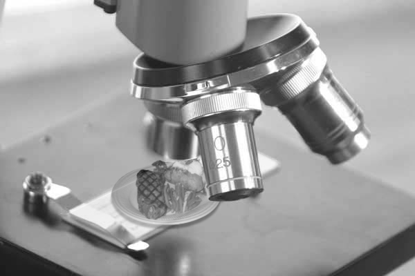 Photoshop Design by duragg for DesignCrowd (Community Contests) | Design #9122953