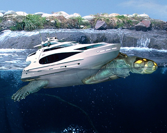 Photography by cameon for DesignCrowd (Community Contests) | Design #9123913