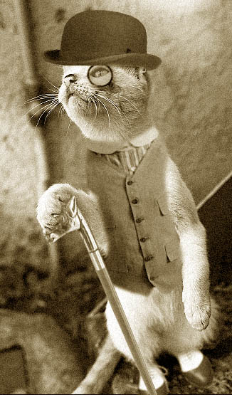 Photoshop-Design von Tedmus für DesignCrowd (Community Contests) | Design #9117593