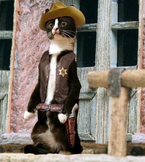 Design Photoshop par Cj pour DesignCrowd (Community Contests) | Design #9117606