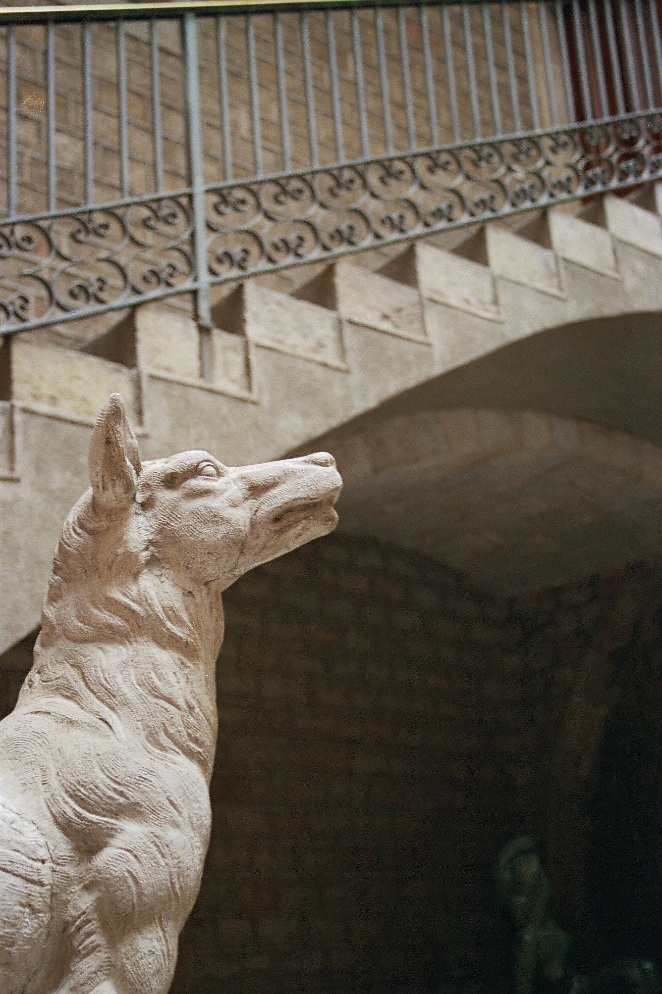 Photographie par jesuslatorre pour DesignCrowd (Community Contests) | Design #9122226