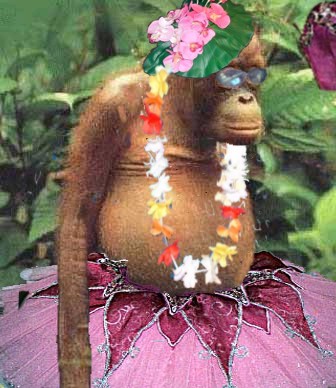 Photoshop-Design von Vanesacf für DesignCrowd (Community Contests) | Design #9117654