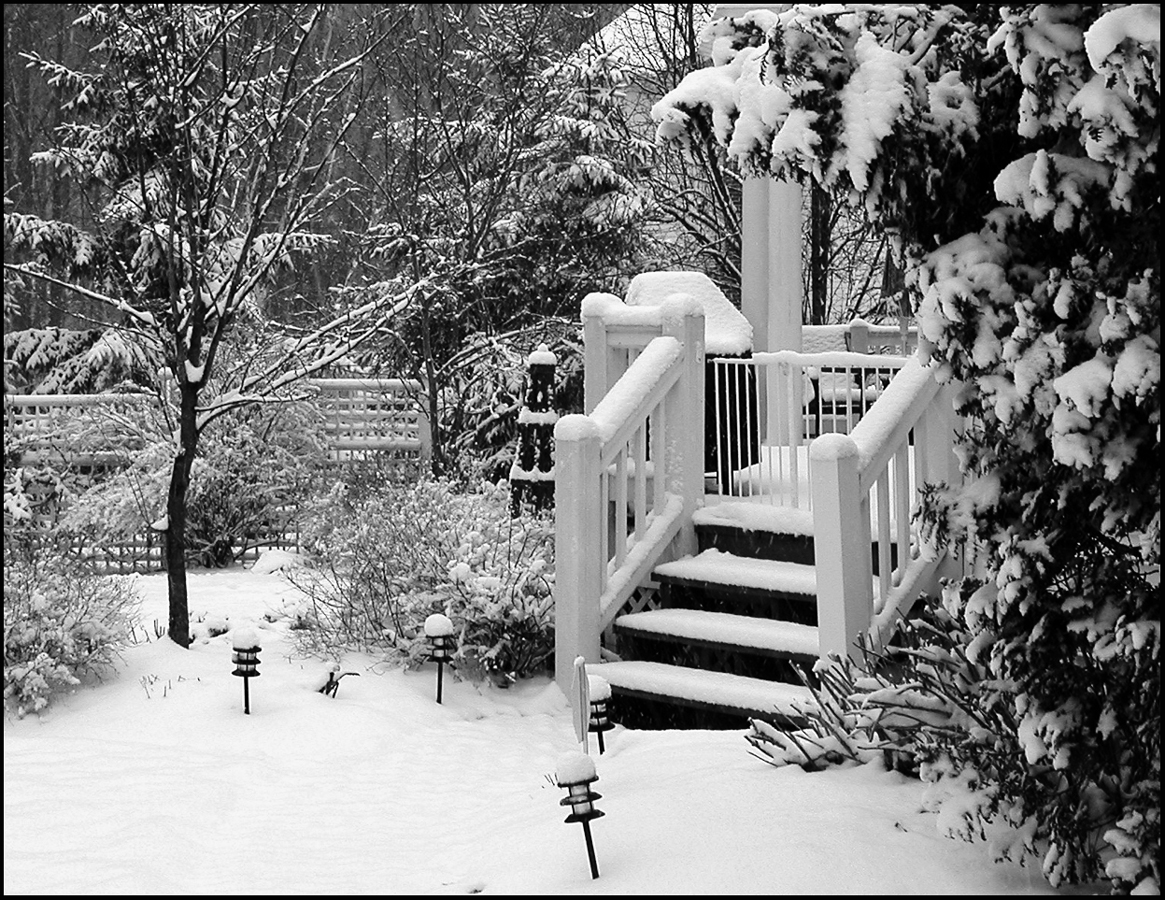 Fotografie von lilmart für DesignCrowd (Community Contests) | Design #9122221