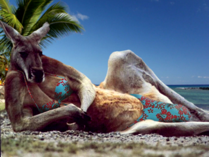 Photoshop Design by RaySirEKS for DesignCrowd (Community Contests) | Design #9117706