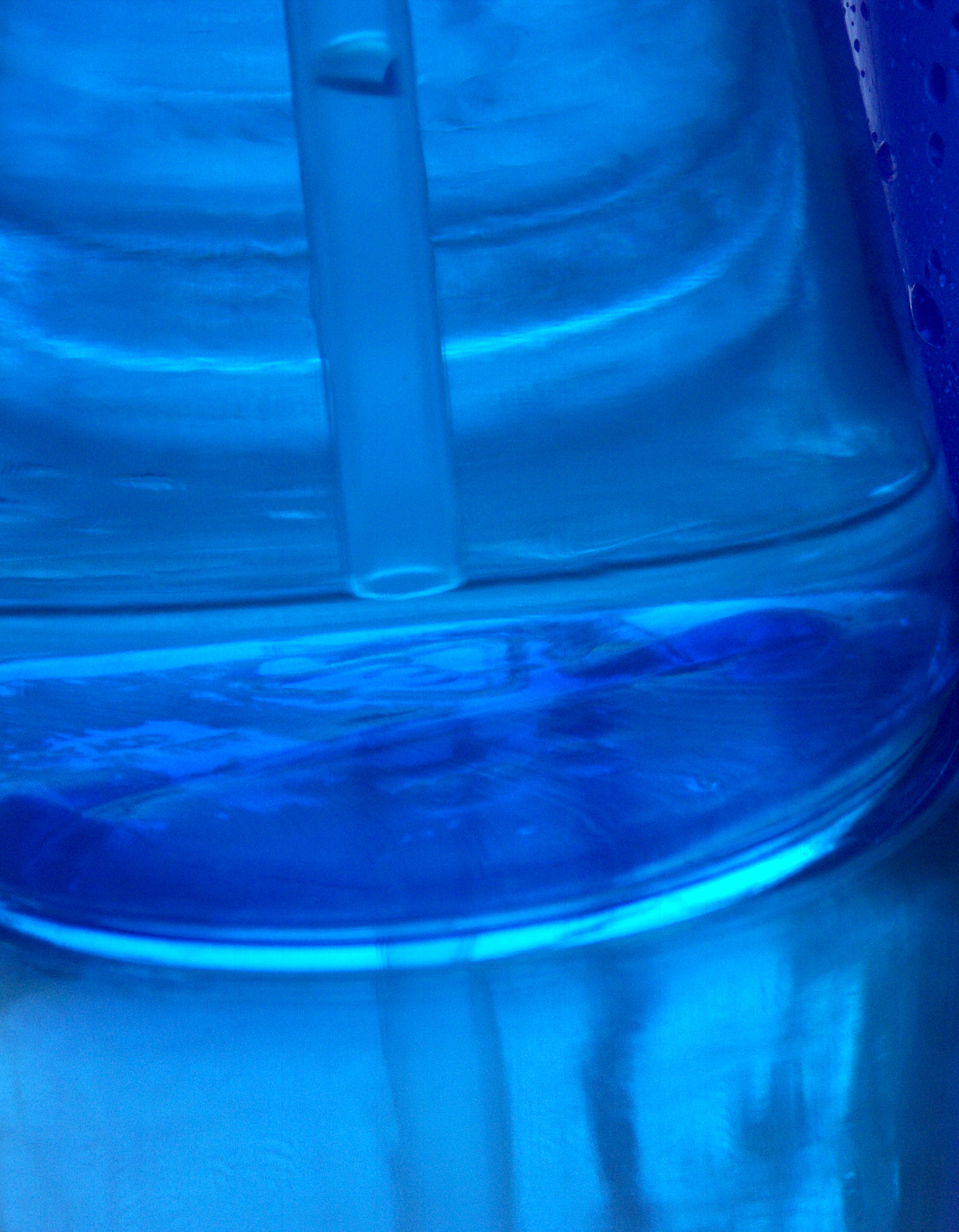 Photography by binkyat3 for DesignCrowd (Community Contests) | Design #9102905