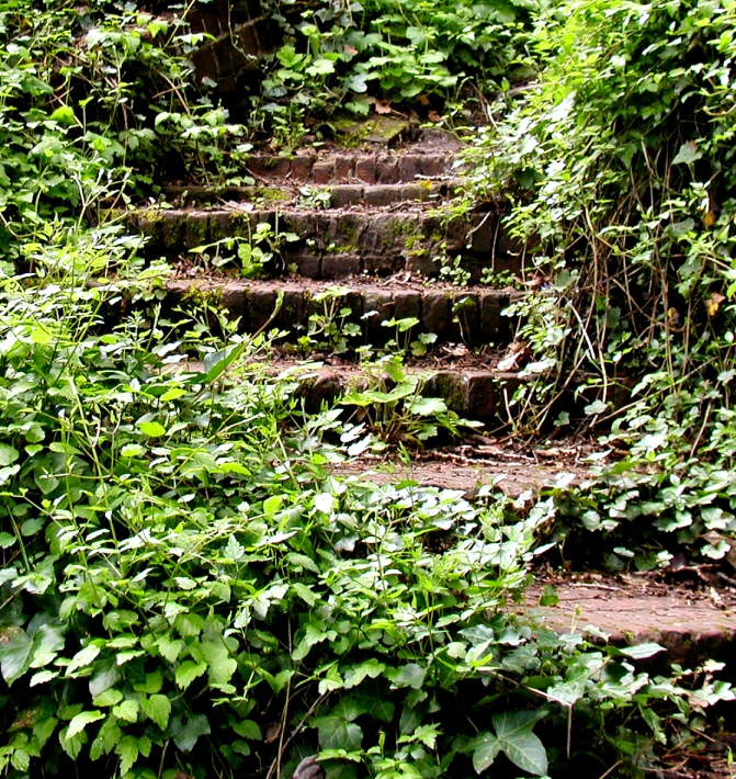 Photography by daisiem for DesignCrowd (Community Contests) | Design #9122195