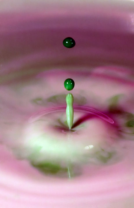 Photography by branie for DesignCrowd (Community Contests) | Design #9103165