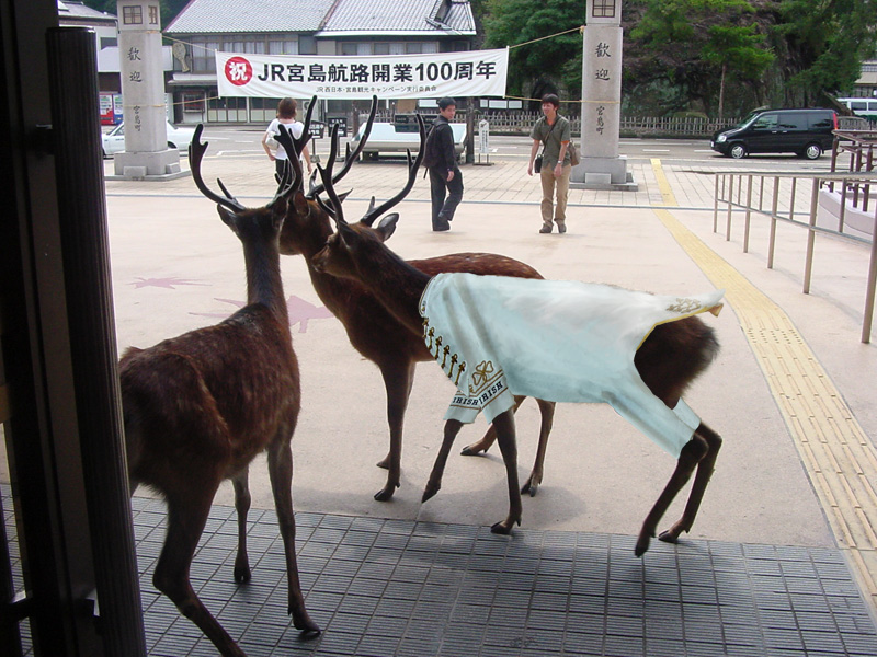 Photoshop Design by cyanhue for DesignCrowd (Community Contests) | Design #9117705