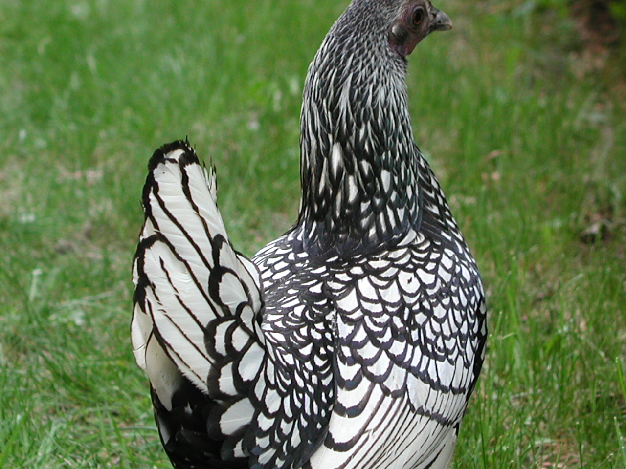 Photographie par klxner pour DesignCrowd (Community Contests) | Design #9116942