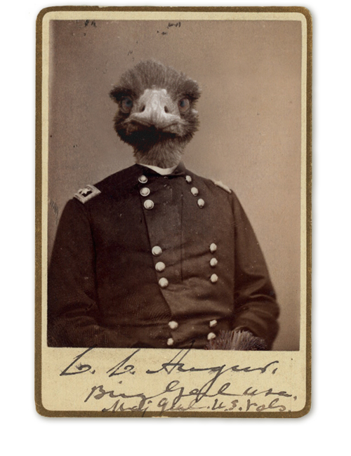 Photoshop Design by chromedonut for DesignCrowd (Community Contests) | Design #9117684