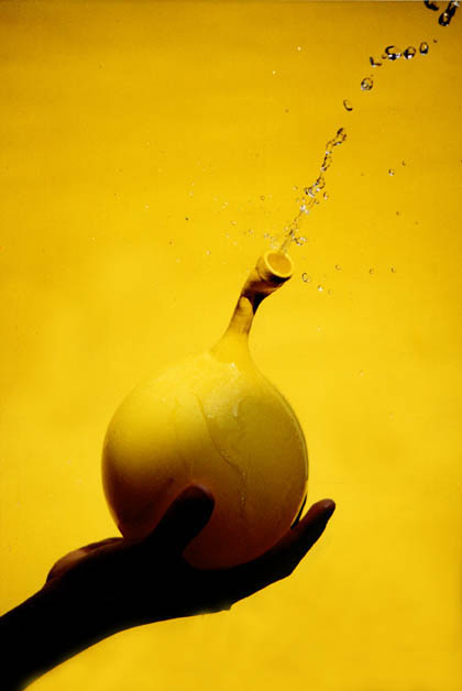 Photography by eslwinshot for DesignCrowd (Community Contests) | Design #9102909