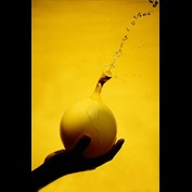 Photography by eslwinshot