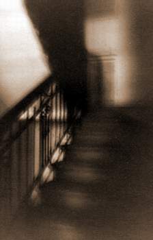 Photography by Seadiver for DesignCrowd (Community Contests) | Design #9122304