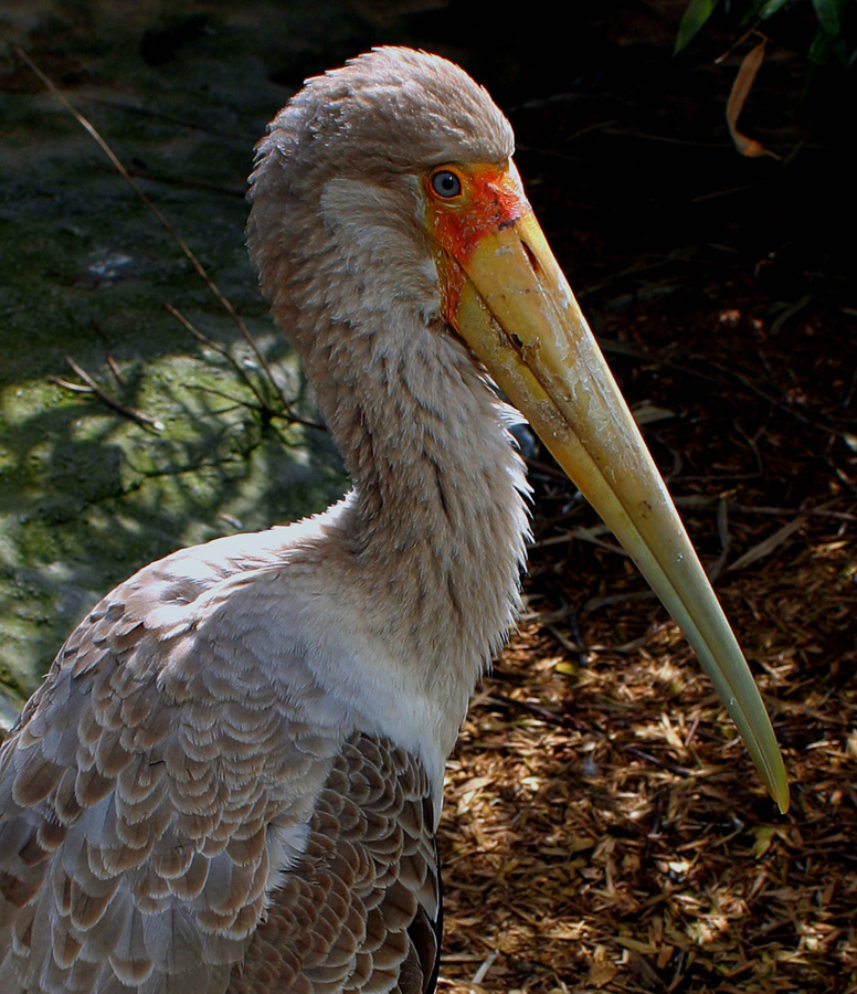 Photography by RitaRichter for DesignCrowd (Community Contests) | Design #9116994