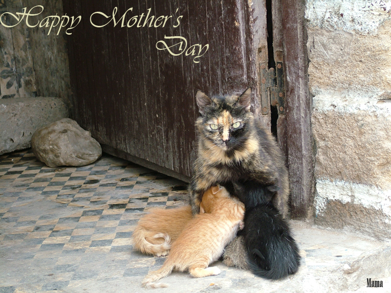 Photoshop Design by kimmaurice for DesignCrowd (Community Contests) | Design #9122559