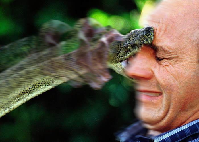 Photoshop-Design von Swamptromp für DesignCrowd (Community Contests) | Design #9095419