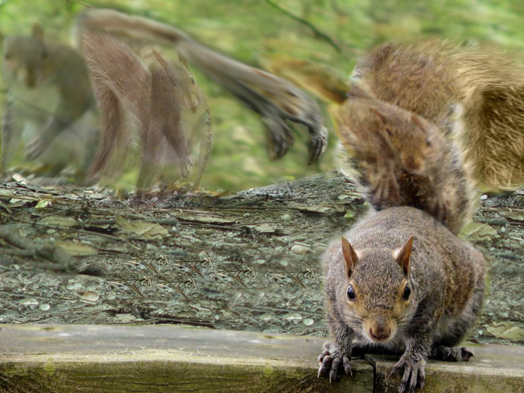 Diseño de Photoshop por mosik1 para DesignCrowd (Community Contests) | Diseño #9095464