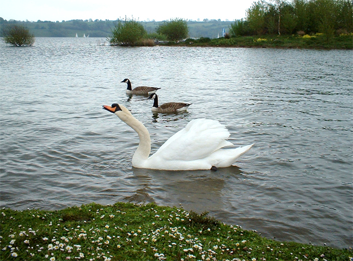 Photographie par spoofmedia pour DesignCrowd (Community Contests) | Design #9117108