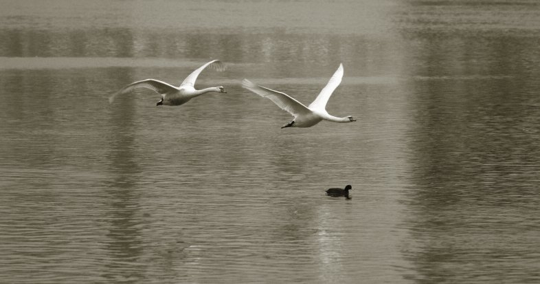 Photography by Martan for DesignCrowd (Community Contests) | Design #9117055