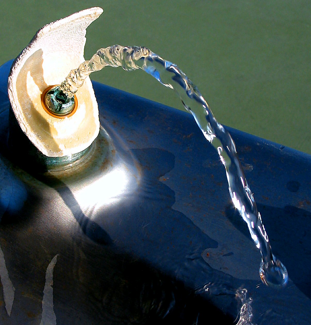 Photography by koalachimbo for DesignCrowd (Community Contests) | Design #9103208