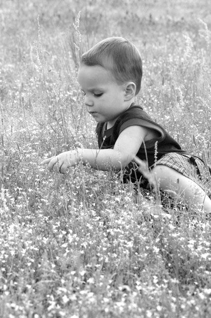 Photography by lmatranga for DesignCrowd (Community Contests) | Design #9117722